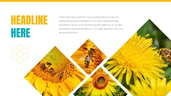 蜜蜂 创意谷歌幻灯片_20