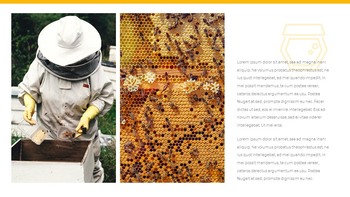 蜜蜂 创意谷歌幻灯片_23