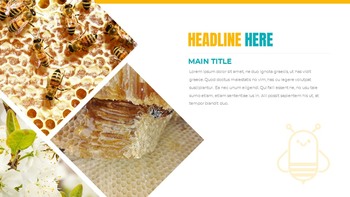 蜜蜂 创意谷歌幻灯片_24