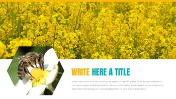 蜜蜂 创意谷歌幻灯片_29