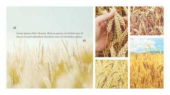 農業産業 背景パワーポイント_08