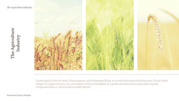 農業産業 背景パワーポイント_13