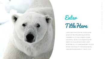 Where do polarbears live Google Presentation Templates_09