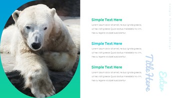 Where do polarbears live Google Presentation Templates_13