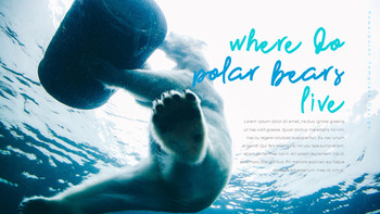 Où vivent les ours polaires Diapositives PPT_18