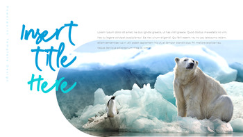 Où vivent les ours polaires Diapositives PPT_21