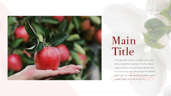 사과 과수원 프레젠테이션 PPT_04