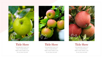 사과 과수원 프레젠테이션 PPT_06