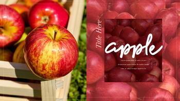 사과 과수원 프레젠테이션 PPT_11