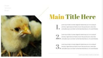 PoultryFarm Creative Google Slides_12