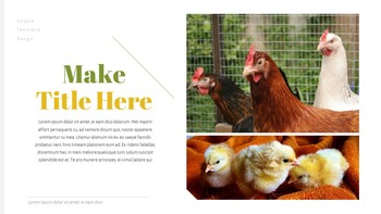 PoultryFarm Creative Google Slides_28