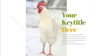 饲养场 简单的PowerPoint模板_16