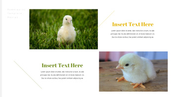 饲养场 简单的PowerPoint模板_19