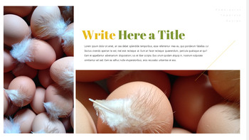 饲养场 简单的PowerPoint模板_26