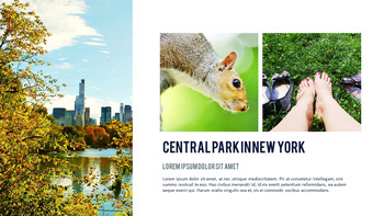 뉴욕 여행 프리미엄 파워포인트 템플릿_16