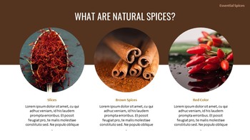 What’s the Difference Between an Herb and a Spice? Google Slides Templates for Your Next Presentation_15