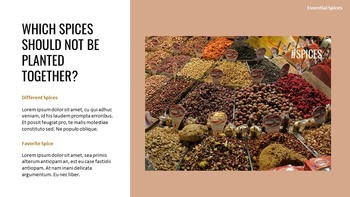 What’s the Difference Between an Herb and a Spice? Google Slides Templates for Your Next Presentation_25