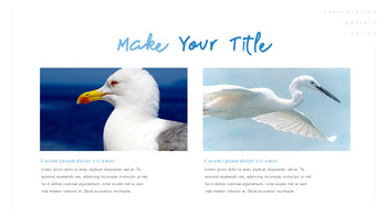 Un oiseau qui vole Table des matières PowerPoint_10