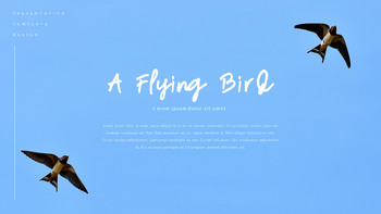 A Flying Bird PowerPoint Table of Contents_23