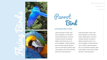 A Flying Bird Simple Google Slides Templates_12