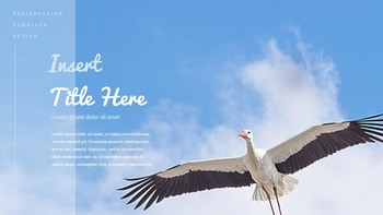 A Flying Bird Simple Google Slides Templates_13