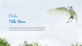 A Flying Bird Simple Google Slides Templates_15