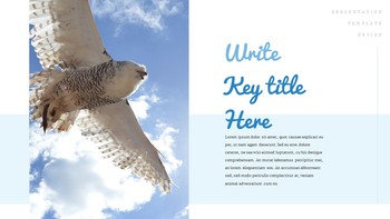 A Flying Bird Simple Google Slides Templates_16