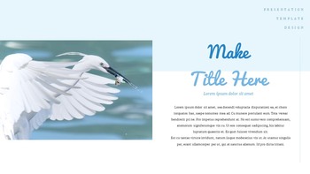 A Flying Bird Simple Google Slides Templates_24