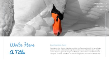 A Flying Bird Simple Google Slides Templates_30