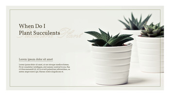 Pianta succulenta Business PPT_06