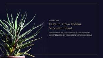 Pianta succulenta Business PPT_16