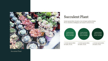 Pianta succulenta Business PPT_18