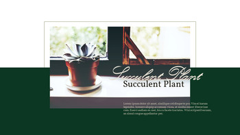 Pianta succulenta Business PPT_24