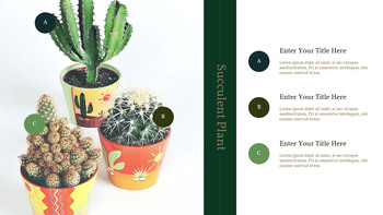 Pianta succulenta Business PPT_25