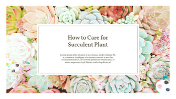 Pianta succulenta Business PPT_28