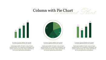 Pianta succulenta Business PPT_30