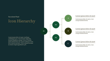 Pianta succulenta Business PPT_33