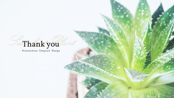 Pianta succulenta Business PPT_40