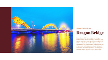 岘港和会安 商业计划模板PPT_07