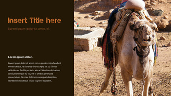 埃及 最好的PPT幻灯片_15