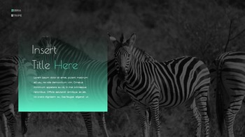 Zebra Stripe Simple Google Presentation_05