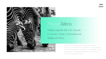 Zebra Stripe Simple Google Presentation_09