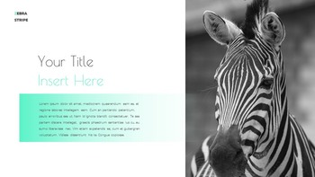 Zebra Stripe Simple Google Presentation_13