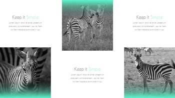 Zebra Stripe Simple Google Presentation_14