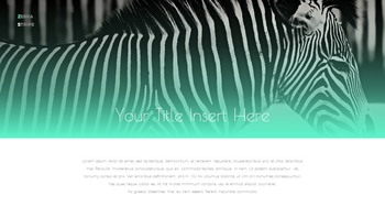 Zebra Stripe Simple Google Presentation_15