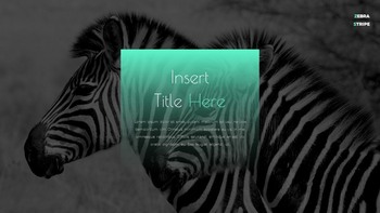 Zebra Stripe Simple Google Presentation_16