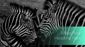 Zebra Stripe Simple Google Presentation_20