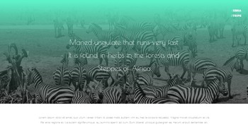 Zebra Stripe Simple Google Presentation_22