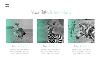 Zebra Stripe Simple Google Presentation_24