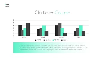 Zebra Stripe Simple Google Presentation_26